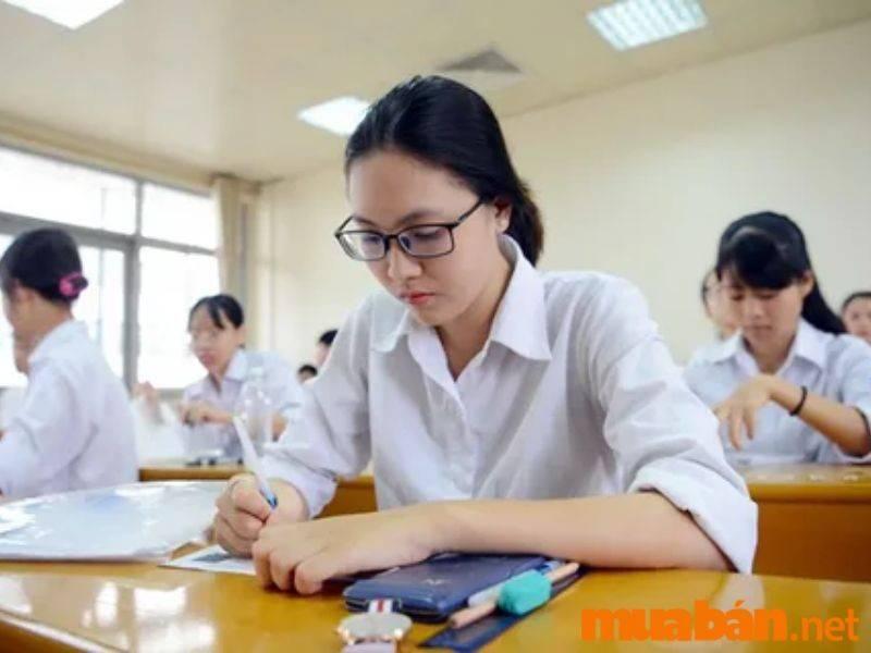 Nhu cầu tìm kiếm việc làm thêm tại nhà cho học sinh, sinh viên ngày càng phổ biến.