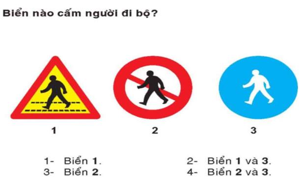 Mẹo học lý thuyết tại nhà giúp thi bằng lái B1 “bao đỗ” | Toyotasure