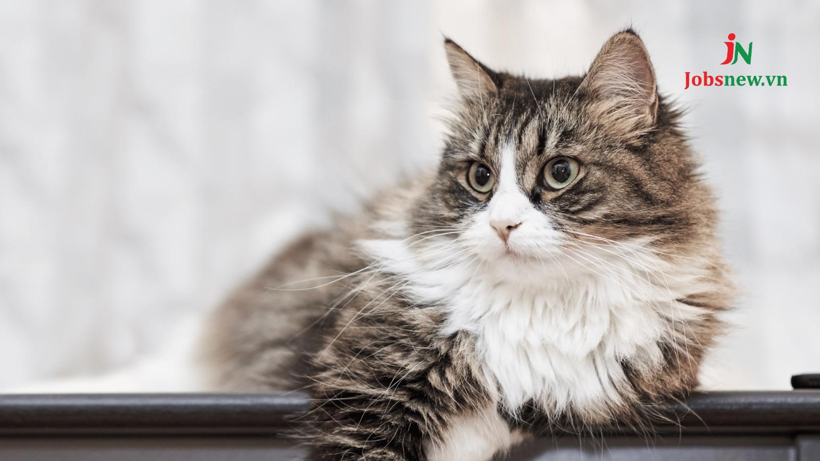 1975 tuổi con gì? Phân tích phong thủy và tính cách tuổi Ất Mão