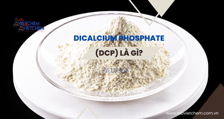 Dicalcium phosphate (DCP) là chất gì?