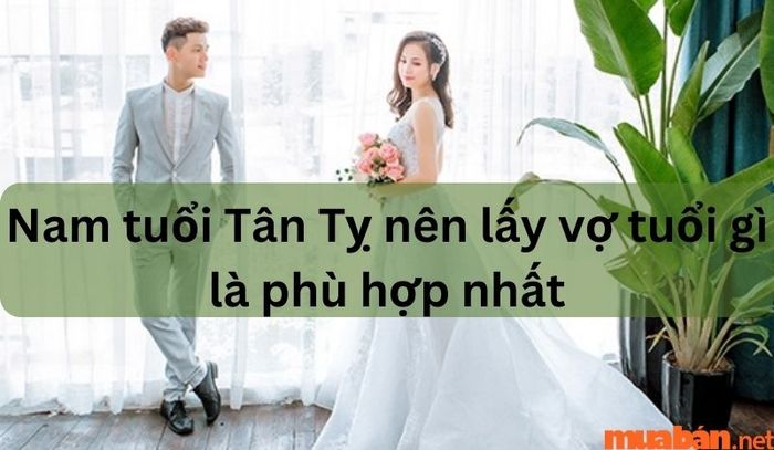 Giải Mã Tình Duyên Nam 2001 Tân Tỵ: Nên Lấy Vợ Tuổi Gì Phù Hợp?
