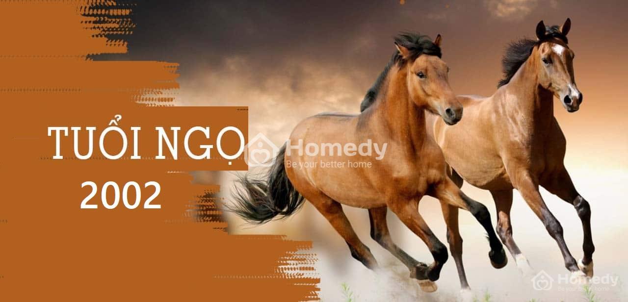 Tuổi Ngọ 2002 hợp màu gì, nên chọn hướng nào khi xây nhà?