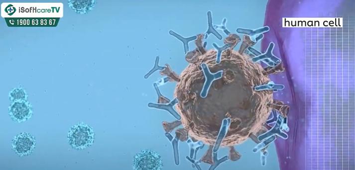 8 loại vaccine phòng Covid-19 đã được cấp phép tại Việt Nam