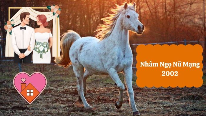 Phụ nữ sinh năm 2002 nên chọn chồng tuổi nào để cuộc sống hôn nhân viên mãn, hạnh phúc lâu dài?