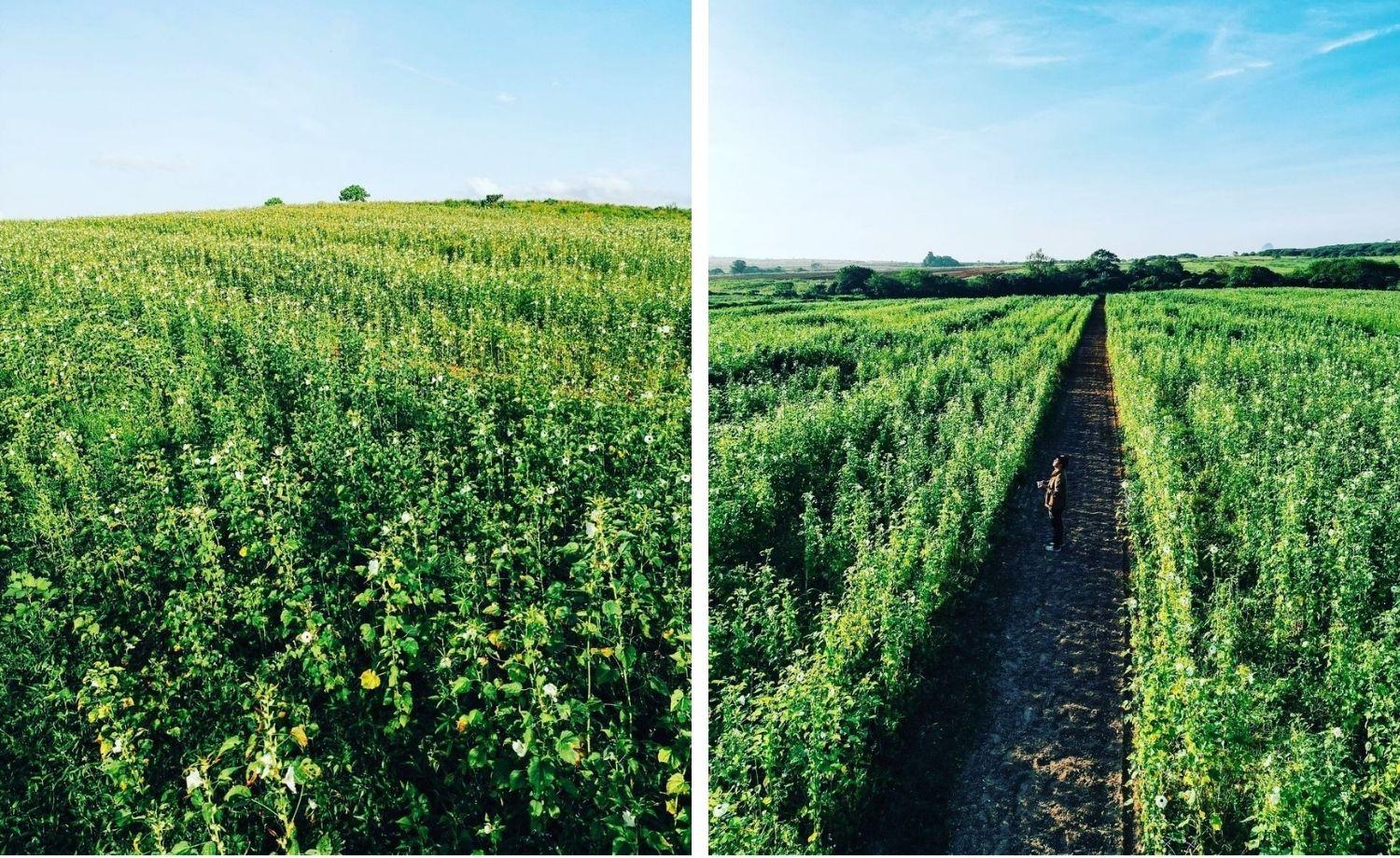 Magnificent Views in Perlis That Are a Must-Visit