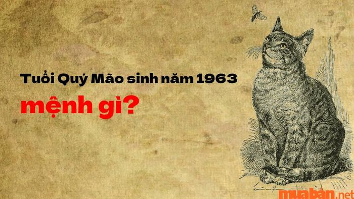 Sinh năm 1963 mệnh gì? Nam nữ Quý Mão 1963 hợp với tuổi và màu sắc nào?