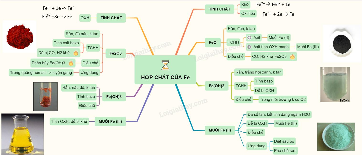 Lý thuyết về hợp chất của sắt</>