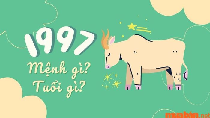 Người tuổi Đinh Sửu sinh năm 1997 mang mệnh gì? Màu sắc và tuổi nào hợp, kỵ với họ?