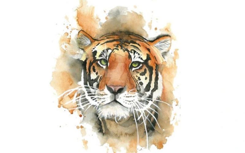 Tuổi Dần sinh năm bao nhiêu? Tất tần tật tử vi vận mệnh tuổi Dần