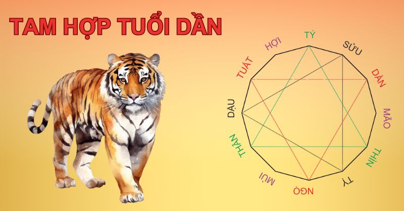 Tuổi Dần Hợp Với Tuổi Hợi Không: Tìm Hiểu Chi Tiết Về Mối Quan Hệ Đặc Biệt