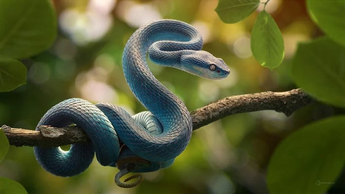 Tuổi Tỵ 2001 thuộc mệnh gì và hợp với tuổi nào?