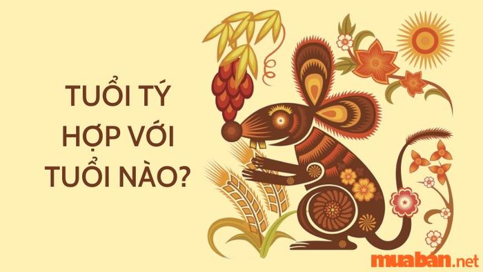 Người tuổi Tý nên kết hợp với tuổi nào để công việc và hôn nhân thuận lợi, và tránh tuổi nào để tránh rủi ro?