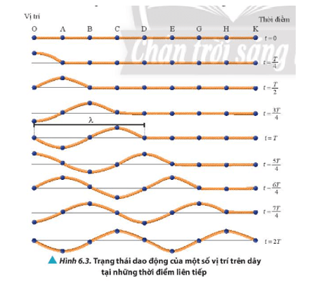 Quan sát Hình 6.3 hãy Chỉ ra những điểm trên dây đang có trạng thái dao động