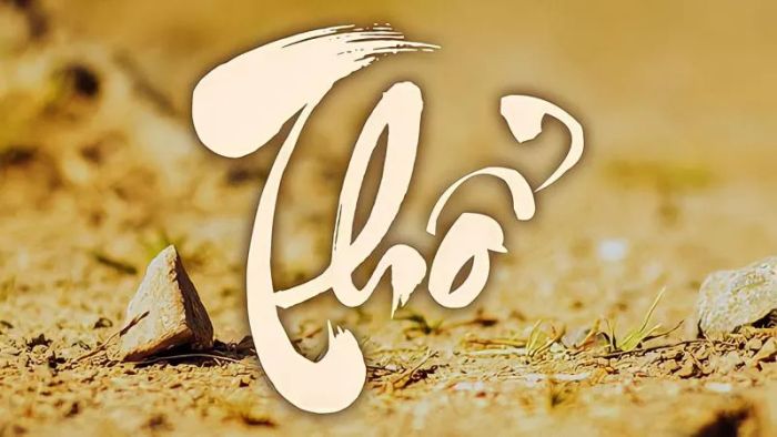 Người sinh năm 2006 thuộc mệnh gì? Những màu sắc nào hợp và tính cách ra sao?