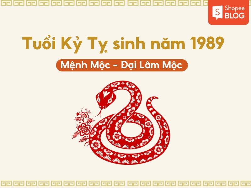 Sinh năm 1989 mệnh gì? Tổng quan về tuổi Kỷ Tỵ 1989