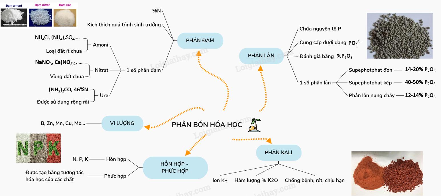 Lý thuyết Phân bón hóa học.</>