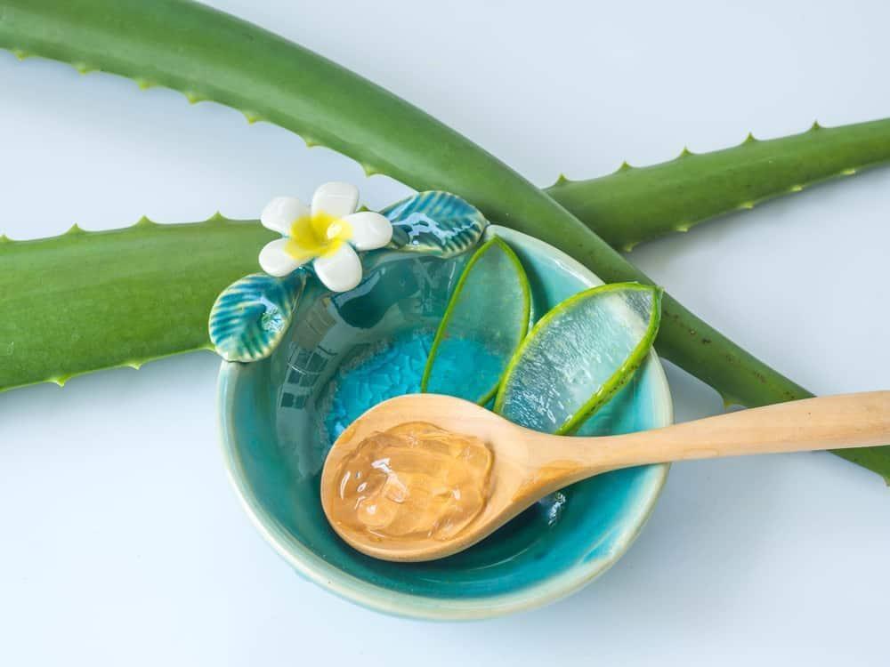 Bị bọ chét cắn có sao không? 10 cách trị an toàn, hiệu quả tại nhà cho bé