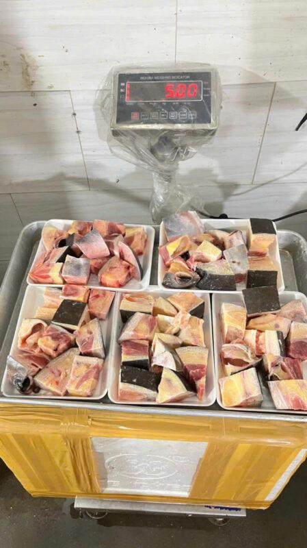 Đầu Cá Tra Dầu