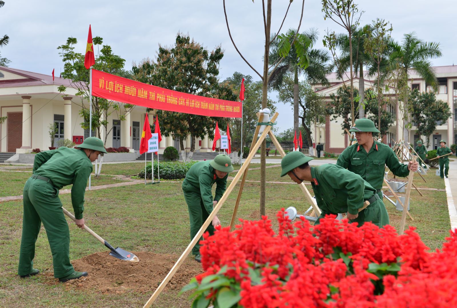 Nhớ Tết trồng cây đầu tiên do Bác Hồ phát động