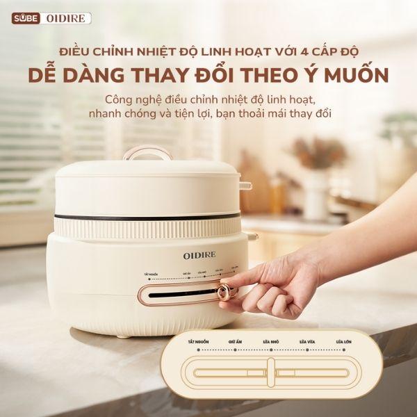 Nồi lẩu OIDIRE 4L ODI07A