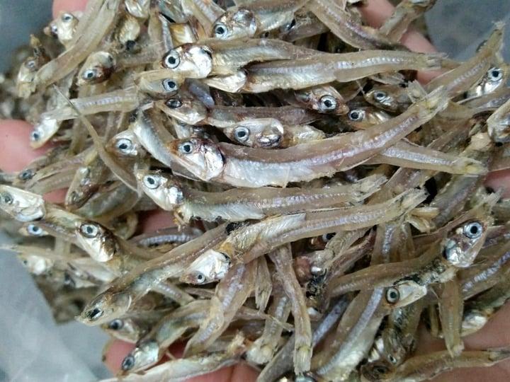 Cá cơm khô. (Ảnh: B.L)