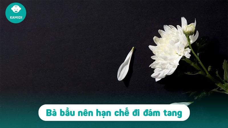 Bà bầu có được đi đám ma không? Nhà có tang mẹ bầu phải lưu ý điều gì?