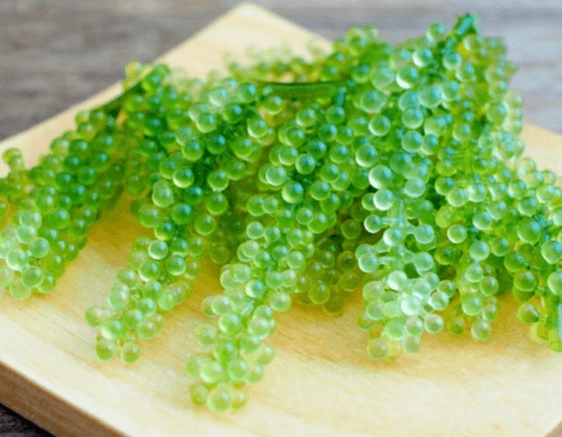 Ăn rong nho khi mang thai: lợi ích và cách sử dụng