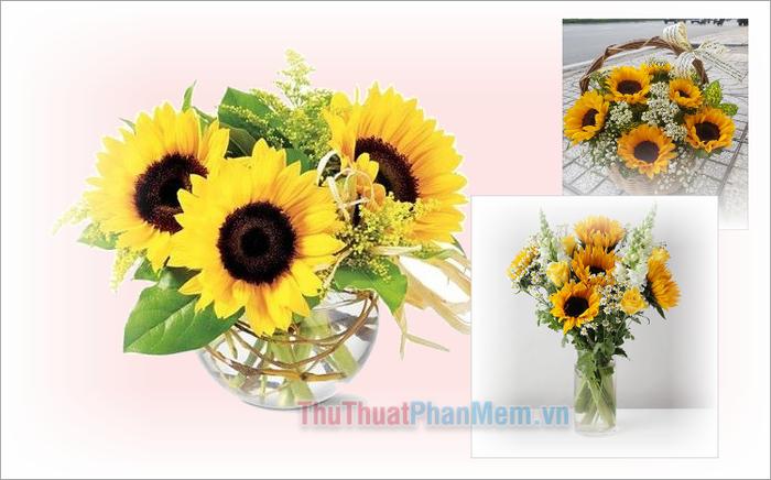 Cách cắm hoa Hướng Dương đơn giản nhưng vô cùng hiện đại