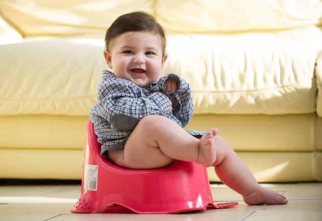 Bô vệ sinh, nắp toilet