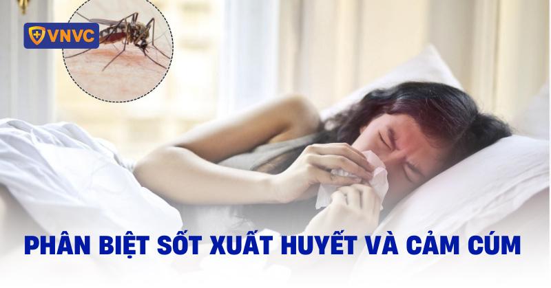 phân biệt sốt xuất huyết và cảm cúm
