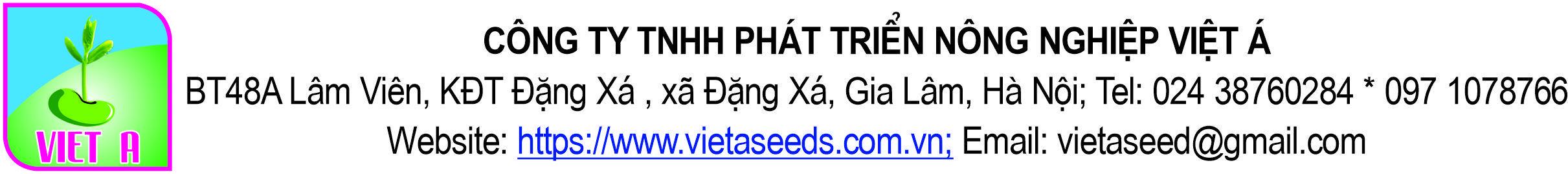 Hạt giống Dưa Chuột Ta (VA.77) – 10gram
