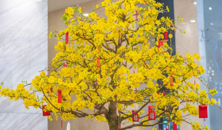 Làm thế nào để may mắn cả năm 2025? Top những việc cần lưu ý