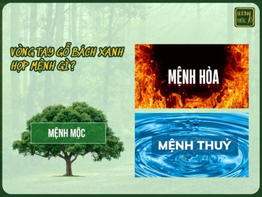 Vòng Tay Gỗ Bách Xanh Hợp Mệnh Gì? 3 Bí Mật Đằng Sau Vòng Tay Gỗ Bách Xanh