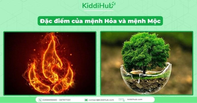 Chồng mệnh hỏa vợ mệnh mộc sinh con mệnh gì?