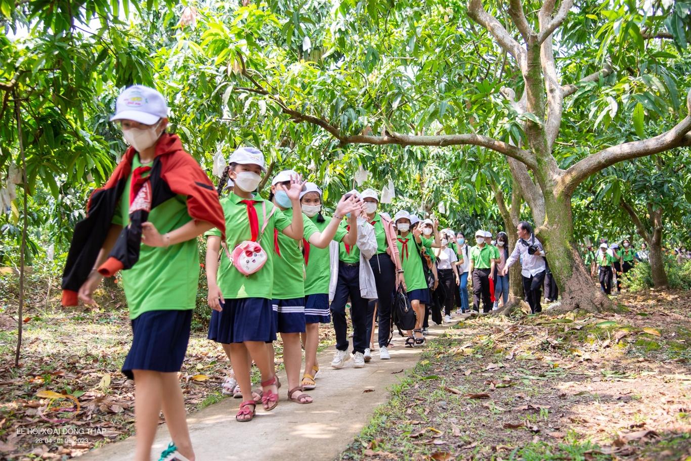 Đồng Tháp: Sôi nỗi Hội thi Thiếu nhi vẽ tranh trên lá sen với chủ đề  “Mùa Xoài quê em” năm 2023