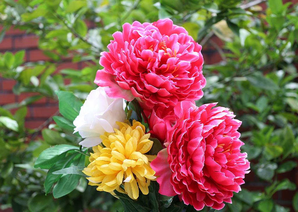 Tìm những nội dung bạn muốn