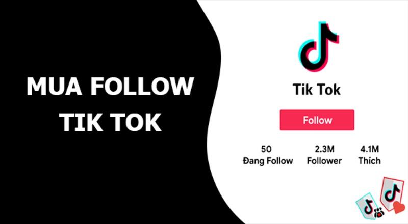 Tăng, Mua, Buff, Hack Follow, Người Theo Dõi Tiktok Thật Uy Tín, Giá Rẻ