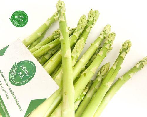 Măng Tây Xanh Loại 1