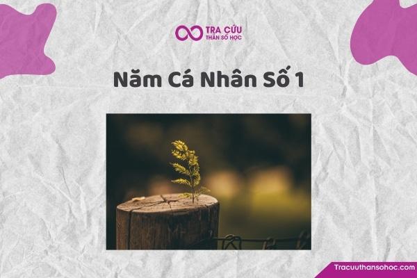 Năm cá nhân số 1 là gì? Ý nghĩa năm cá nhân 1 trong năm 2025 như thế nào?
