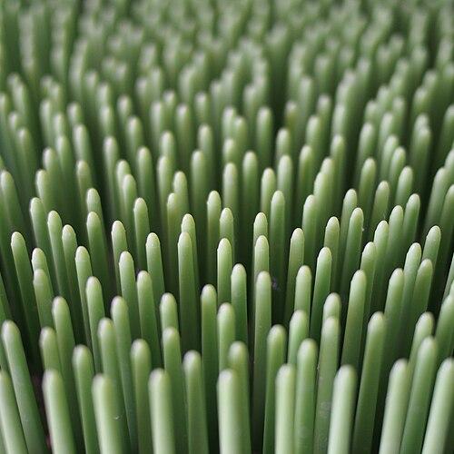 AstroTurf