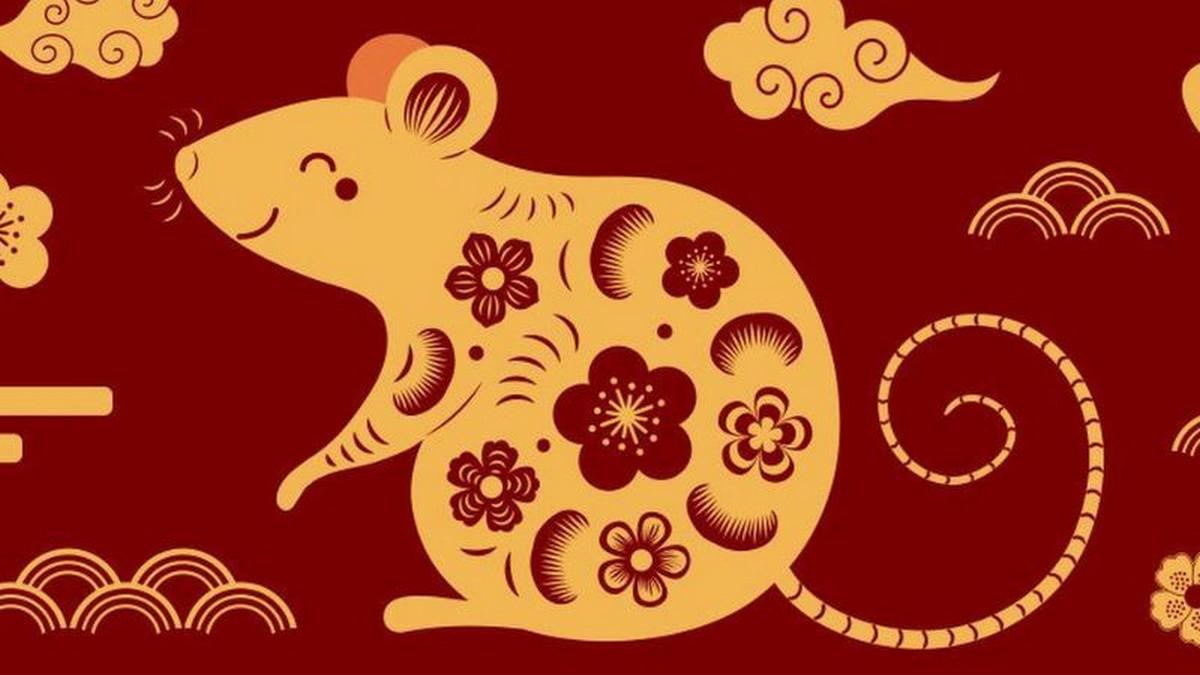 Vận hạn và may mắn tử vi tuổi Bính Tý 1996 trong năm Ất Tỵ 2025