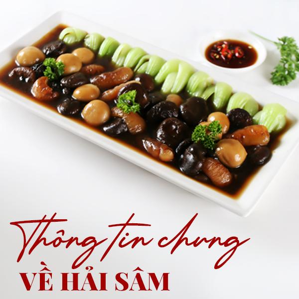 Cùng Thai Village tìm hiểu về các loại hải sâm phổ biến ở Việt Nam