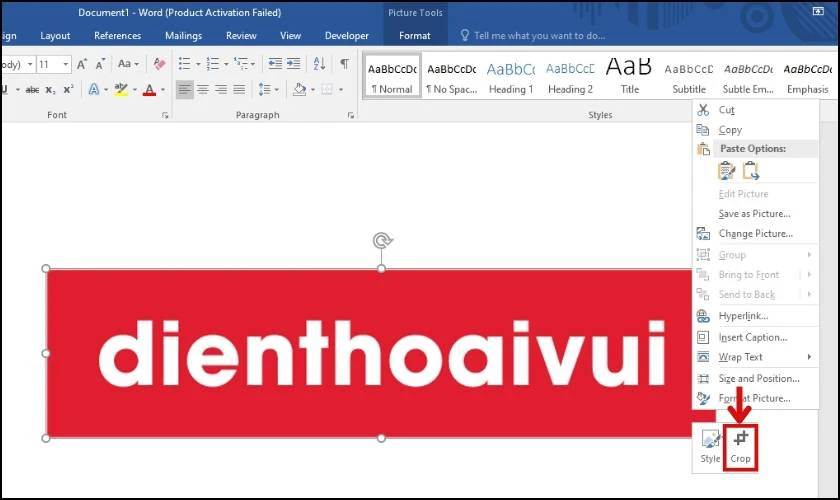 Cách cắt ảnh trong Word theo nhiều kiểu cực nhanh và tiện lợi