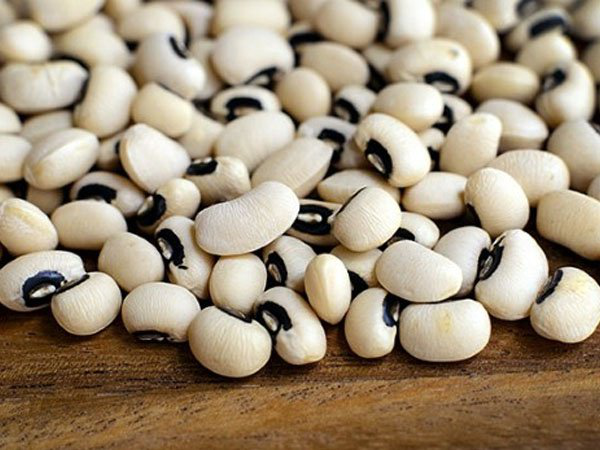 Đậu trắng chữa cao huyết áp được không? Lợi ích của đậu trắng với sức khỏe