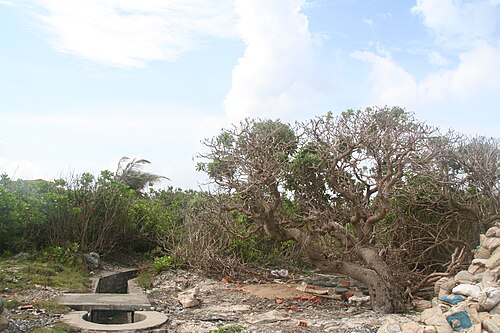 Quần đảo Trường Sa