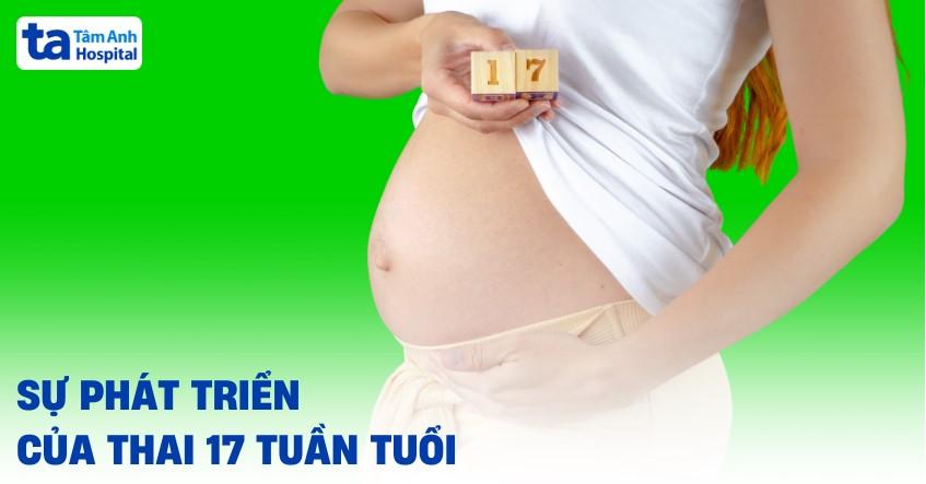 Thai 17 tuần tuổi là bao nhiêu tháng? Kích thước phát triển