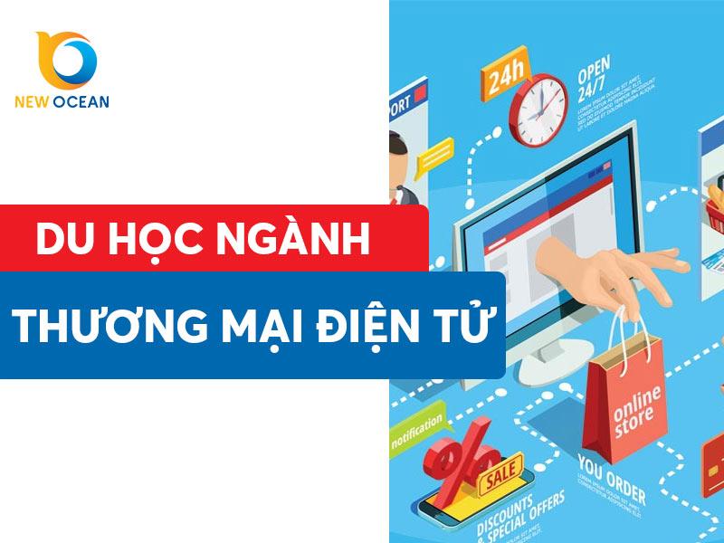 Du học ngành thương mại điện tử: Học ở đâu? Tại sao chọn?