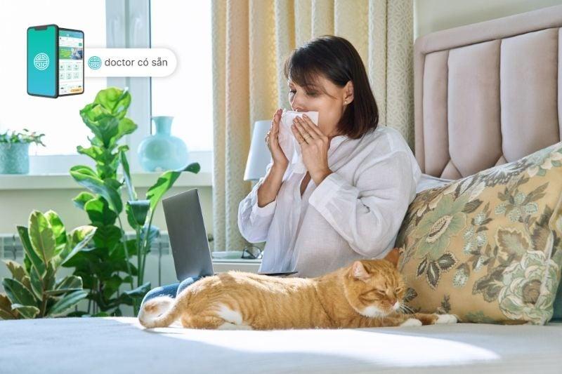 Dị ứng lông mèo: 10 triệu chứng thường gặp và cách điều trị