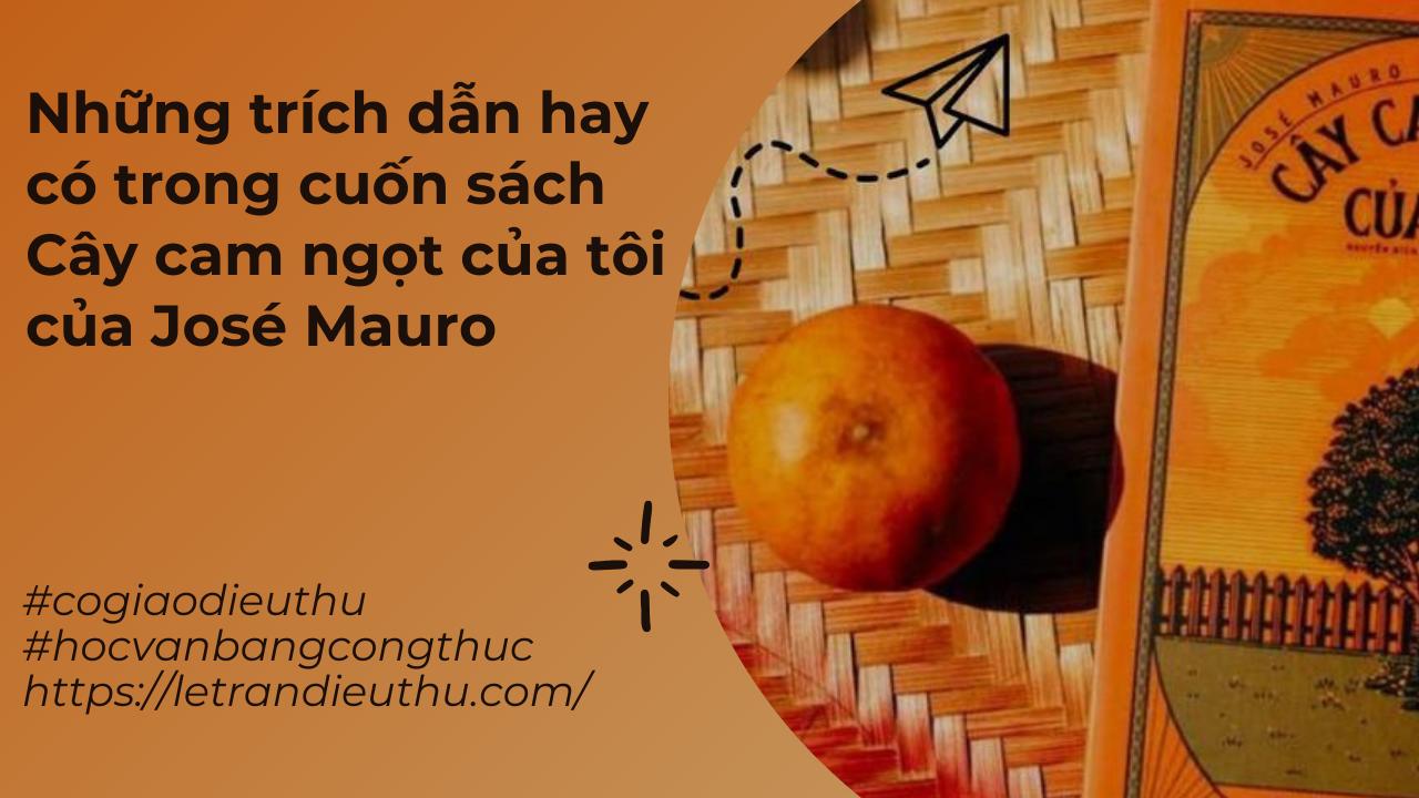 CÁC TRÍCH DẪN HAY CÓ TRONG CUỐN SÁCH CÂY CAM NGỌT CỦA TÔI