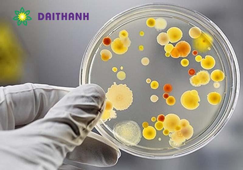 Công nghệ vi sinh là gì? 5 ứng dụng tốt & an toàn nhất trong nông nghiệp